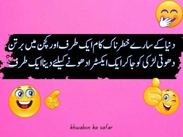 Balancing Act funny words in urdu